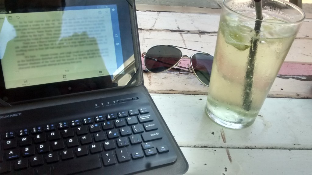 Sadly, my Kindle screen vanishes when I wear my polarised aviators
