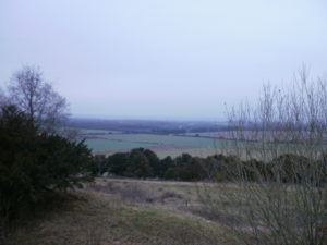 salisbury plain