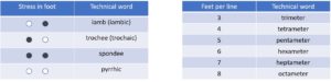 table explaining types of poetic meter like iambic pentameter